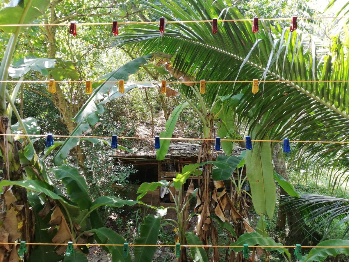 Hotel Sea Breeze Garden Tangalle Zewnętrze zdjęcie